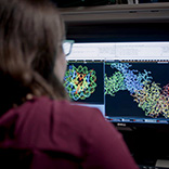 scientist looking at data on a computer monitor